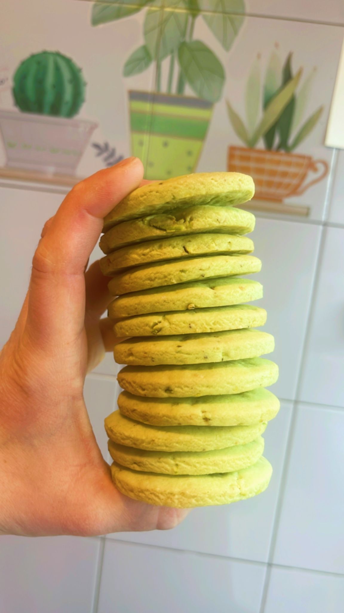 Alfajor edición especial pistacho